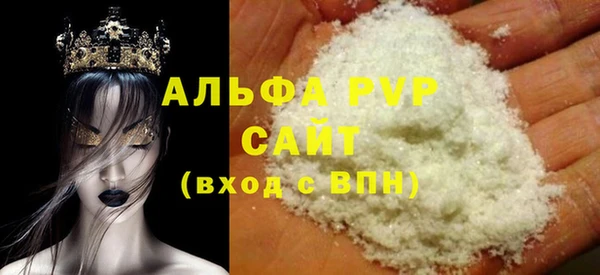 индика Дмитриев
