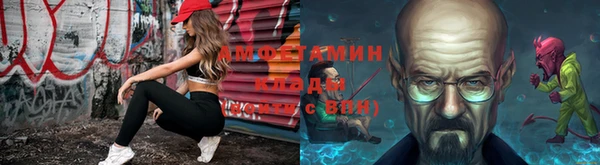 индика Дмитриев