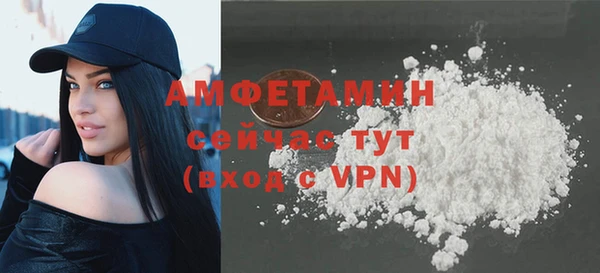 индика Дмитриев