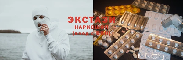 индика Дмитриев