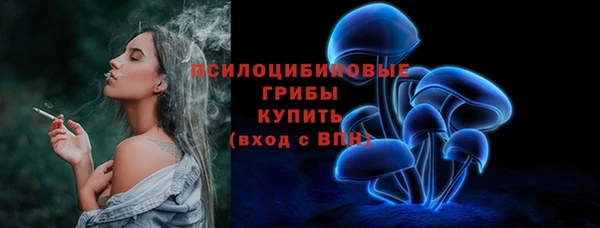 спиды Осташков
