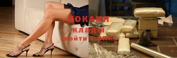 индика Дмитриев