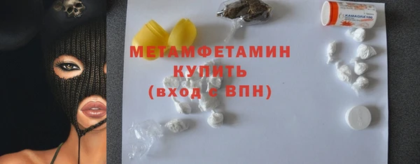 индика Дмитриев