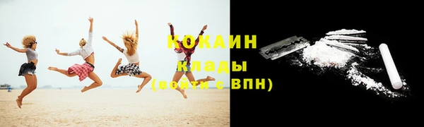 индика Дмитриев