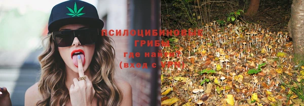 стафф Дмитровск