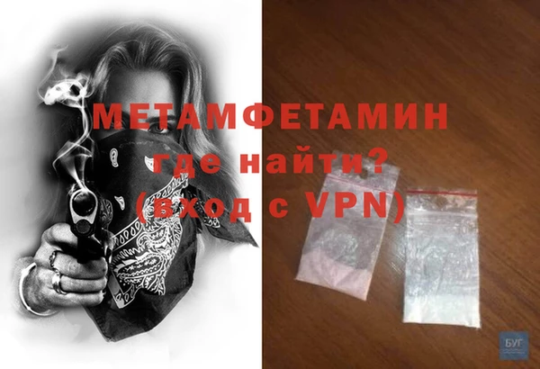 индика Дмитриев
