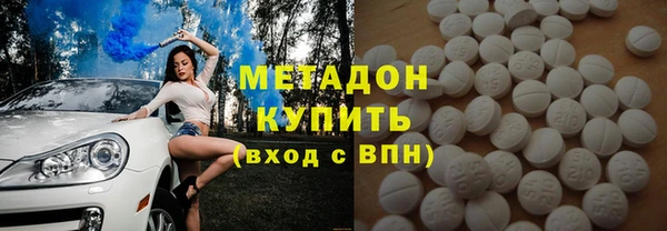 индика Дмитриев