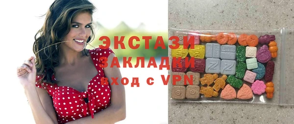 индика Дмитриев