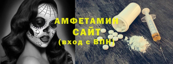 индика Дмитриев