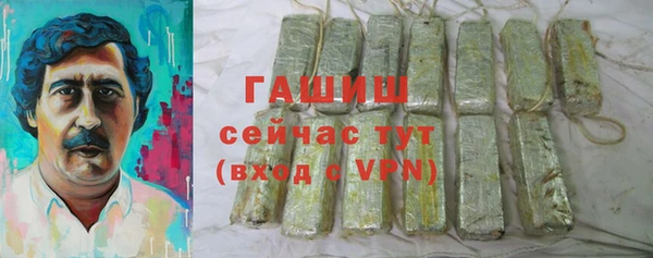 индика Дмитриев