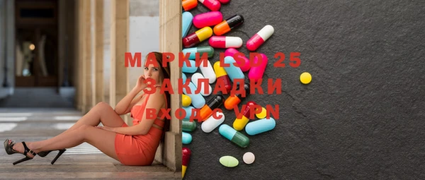 индика Дмитриев